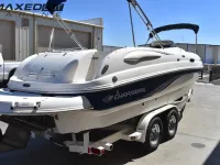 Chaparral 232 Sunesta