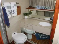 42' Bertram - Master Ensuite Head