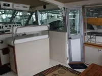 42' Bertram - Aft Deck View