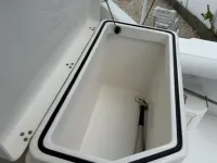 Cabo Express 31