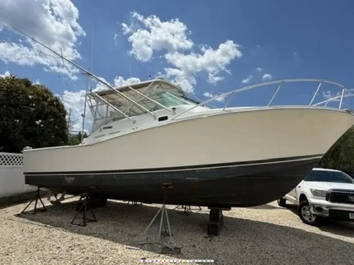 Cabo Express 31 