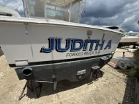 Cabo Express 31