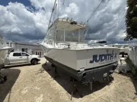 Cabo Express 31