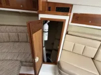 Cabo Express 31