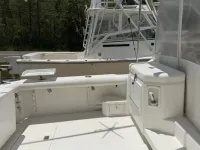 Cabo Express 31