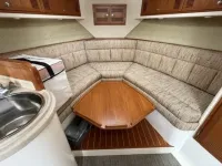 Cabo Express 31