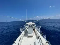 Contender 31 Open 
