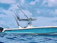 Contender 31 Open 