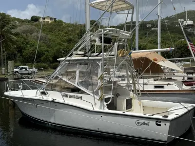 Carolina Classic Classic 28 