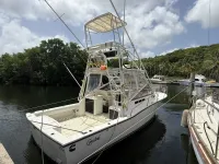Carolina Classic Classic 28