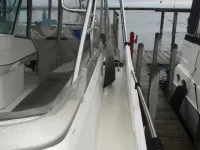 Cruisers Express Bridge 4280 