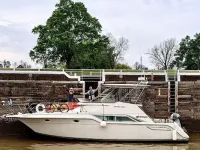 Cruisers Express Bridge 4280 