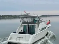 Cruisers Express Bridge 4280 