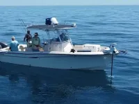 Grady White 283 Release