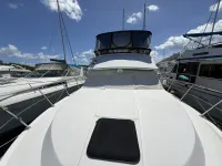 Carver 406