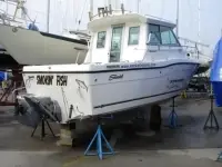 Seaswirl Striper 2600 SC