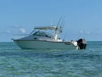 Mako 284 Express