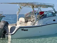 Mako 284 Express