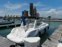 Sea Ray Sundancer