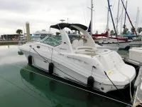 Sea Ray Sundancer