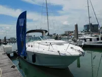 Sea Ray Sundancer