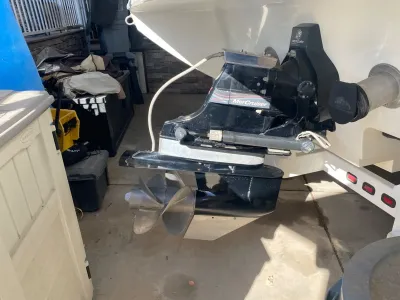 Advantage Party cat 28XL 