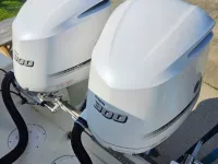 Sailfish 290cc 