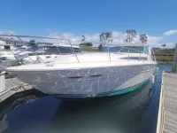 Sea Ray Express Cruiser 390 Express 