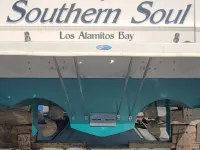 Sea Ray Express Cruiser 390 Express 