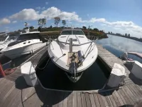 Sea Ray Express Cruiser 390 Express 