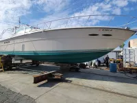 Sea Ray Express Cruiser 390 Express 