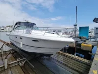 Chaparral 320 Signature