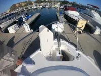 Chaparral 320 Signature
