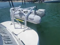 Chaparral 320 Signature