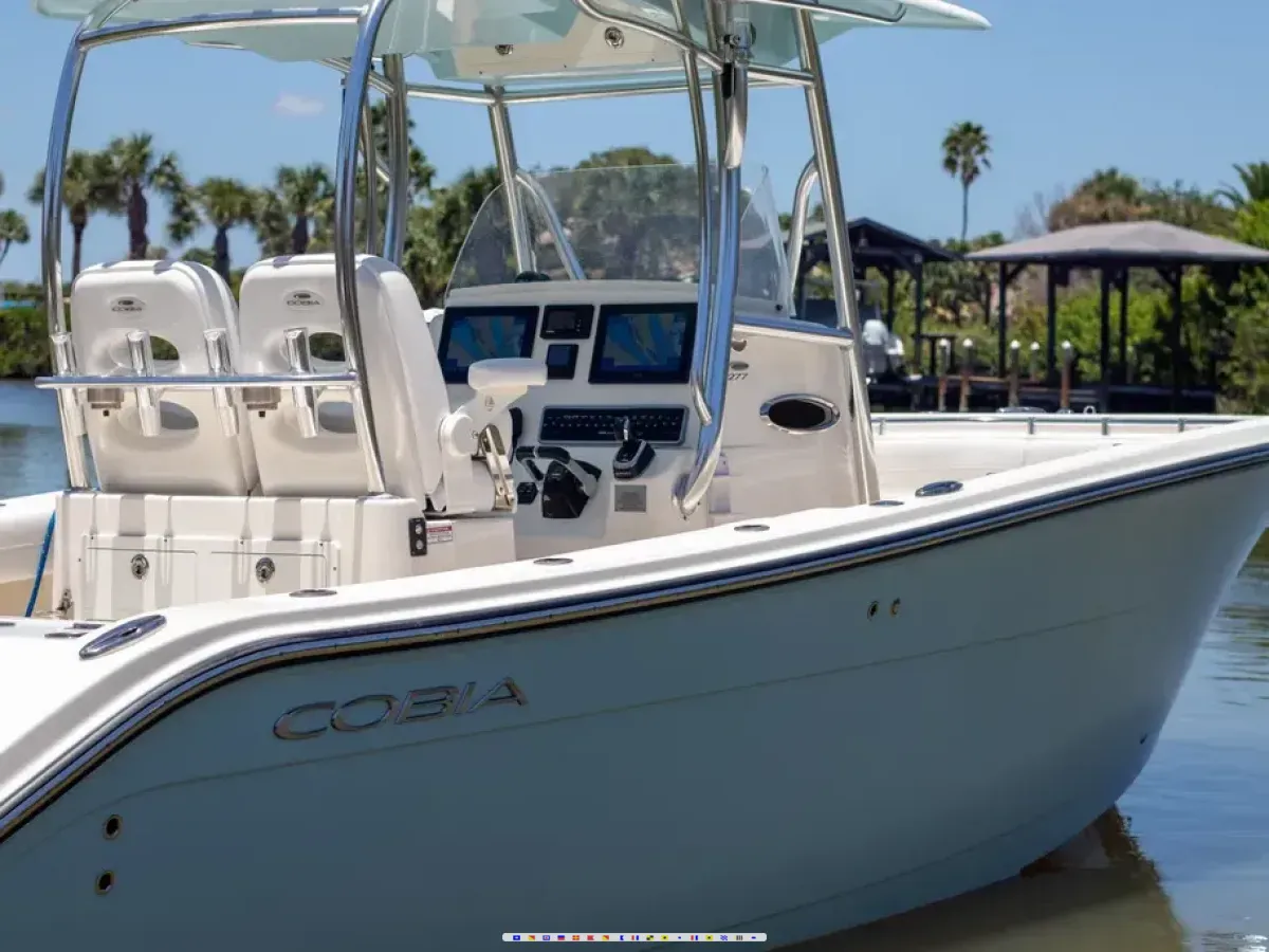 Cobia 