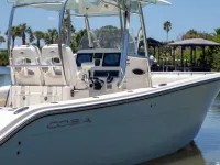 Cobia 