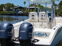 Cobia 