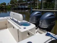 Cobia 