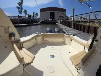 Scout 275 Dorado 