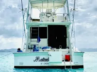 Southern Cross 44 Fish