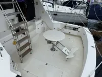 Southern Cross 44 Fish