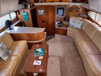 Carver 396