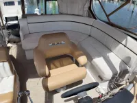 Carver 396