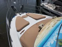Carver 396