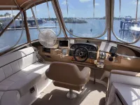 Carver 396