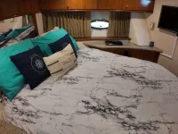Carver 396