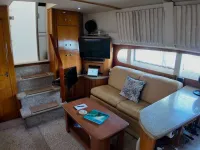 Carver 396