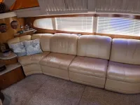 Carver 396