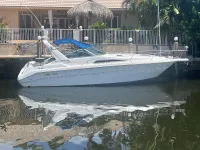 Sea Ray Sundancer 