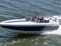 Formula 292 sr-1